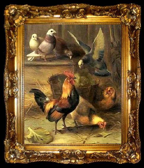 framed  unknow artist Poultry 099, ta009-2